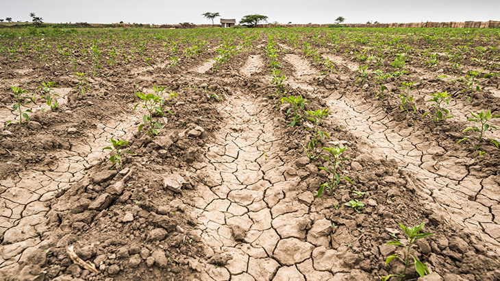 Parched Earth 3