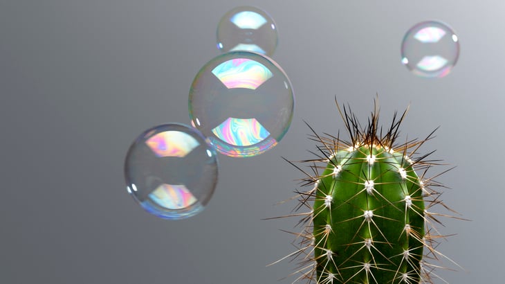 bubbles-cactus.jpg