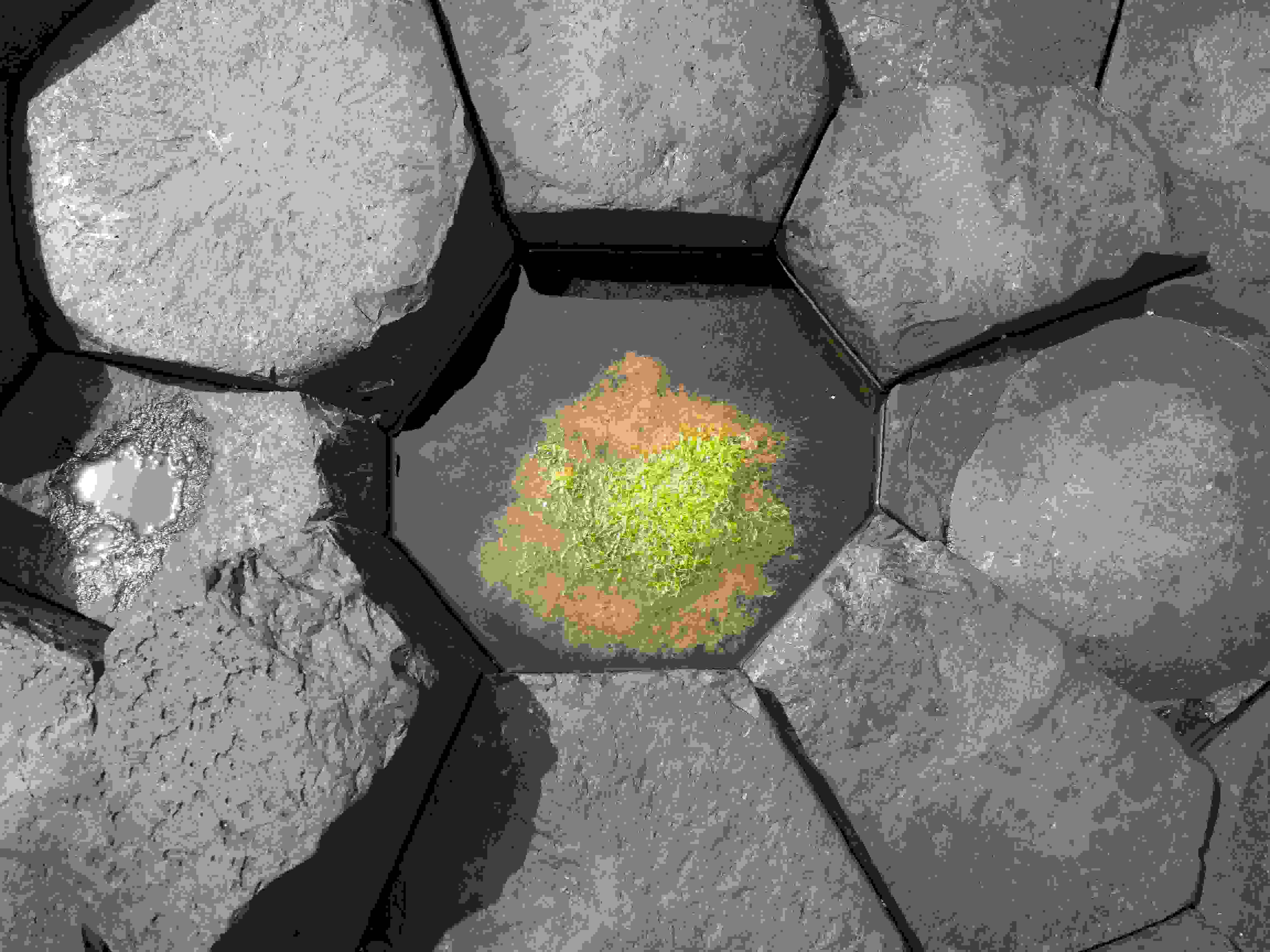 World In A Puddle