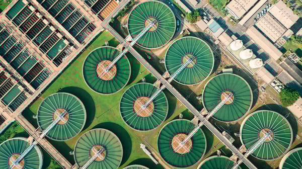 water plant