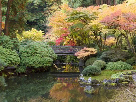 Japanese garden
