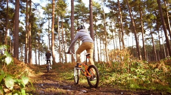 Box Hill