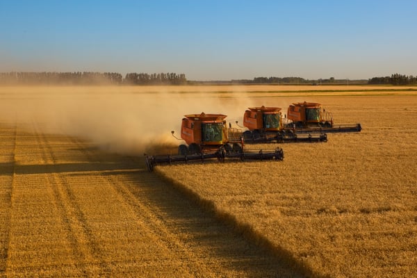 combine harvester farm