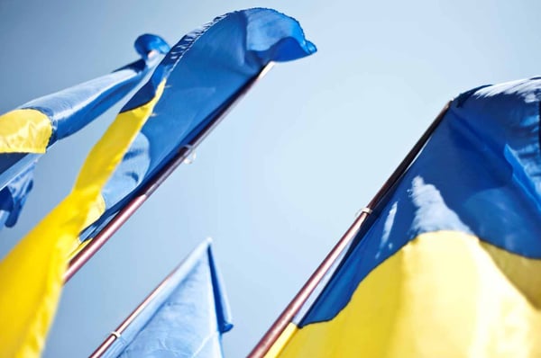 Ukraine flags