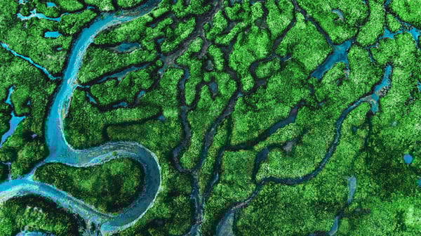 green lakes